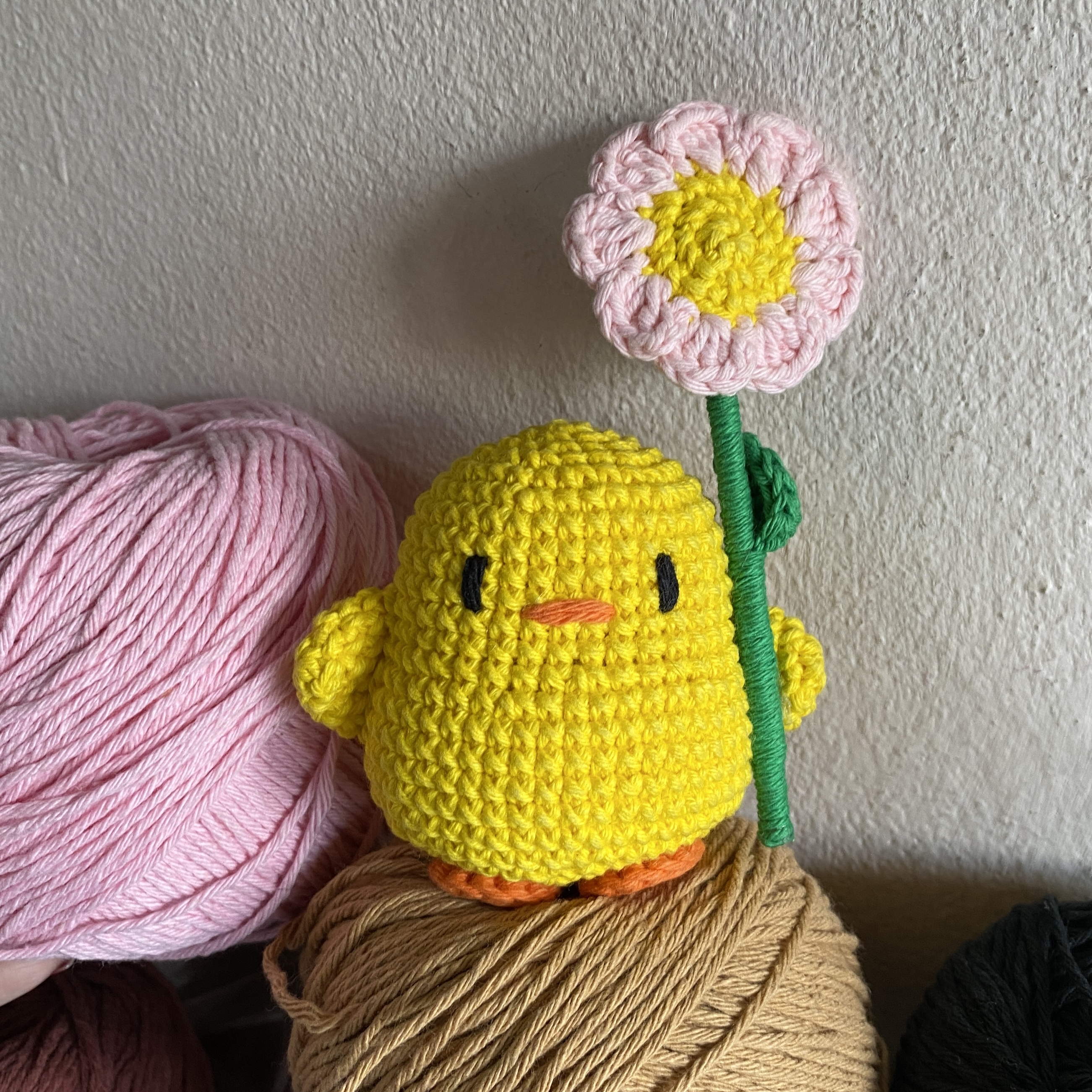 pollito con flor rosa